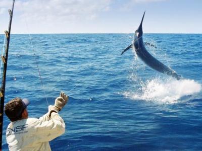 Tips for sport fishing with&nbsp;TackleBox